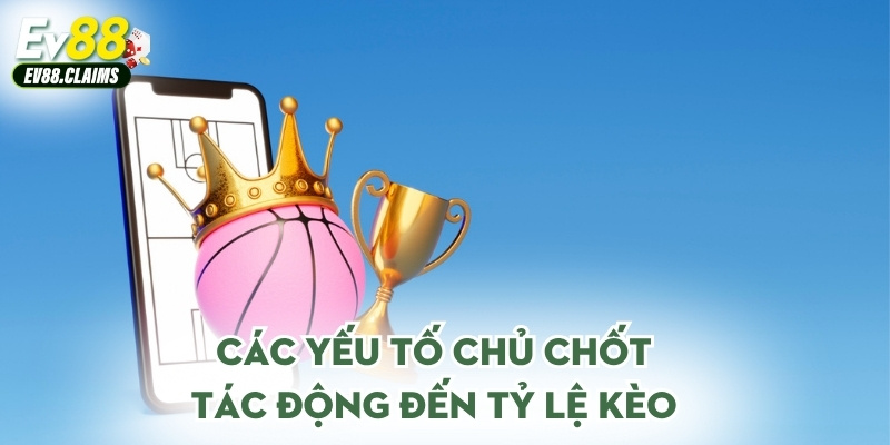 Các yếu tố chủ chốt tác động đến tỷ lệ kèo