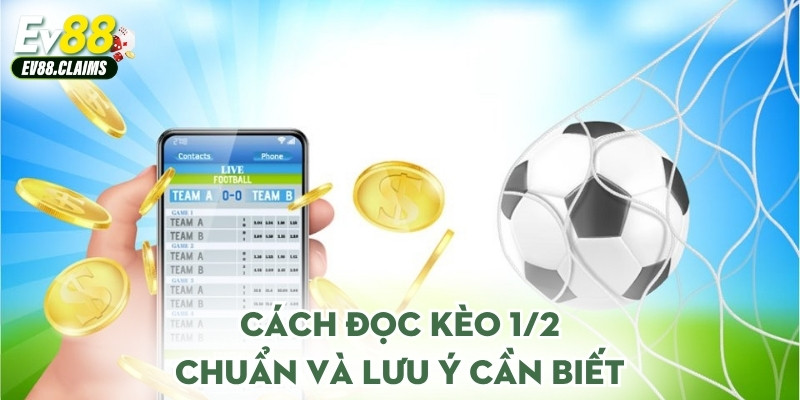 Cách đọc kèo 1/2 chuẩn và lưu ý cần biết