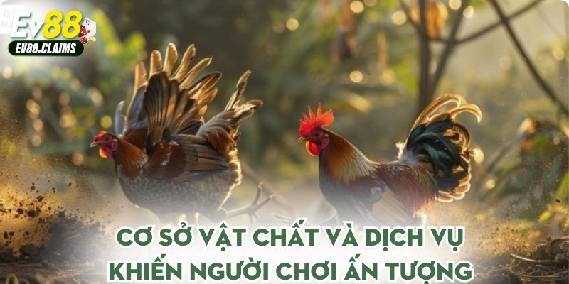 Cơ sở vật chất và dịch vụ khiến người chơi ấn tượng