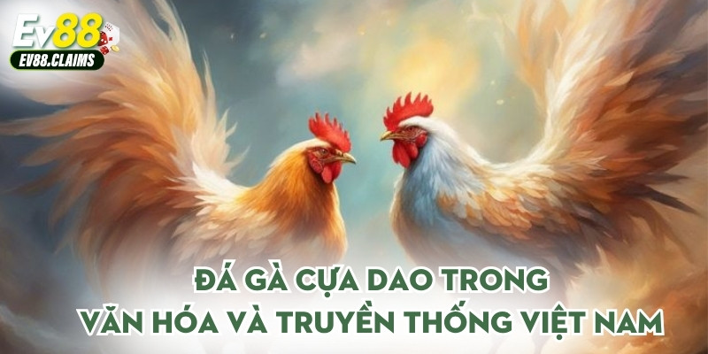 Đá gà cựa dao trong văn hóa và truyền thống Việt Nam