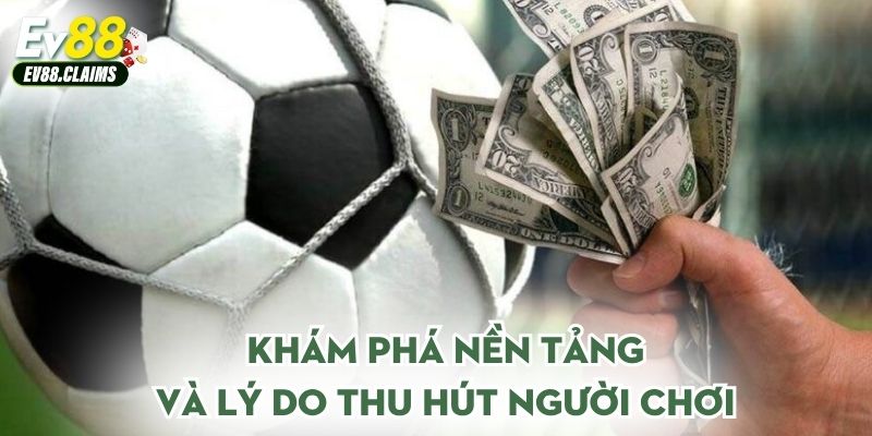 Khám phá nền tảng và lý do thu hút người chơi
