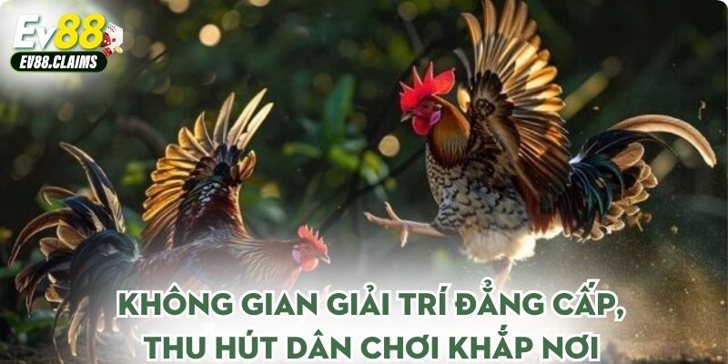 Không gian giải trí đẳng cấp, thu hút dân chơi khắp nơi