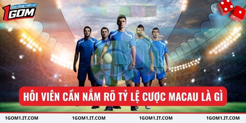 Hôi viên cần nắm rõ tỷ lệ cược Macau là gì